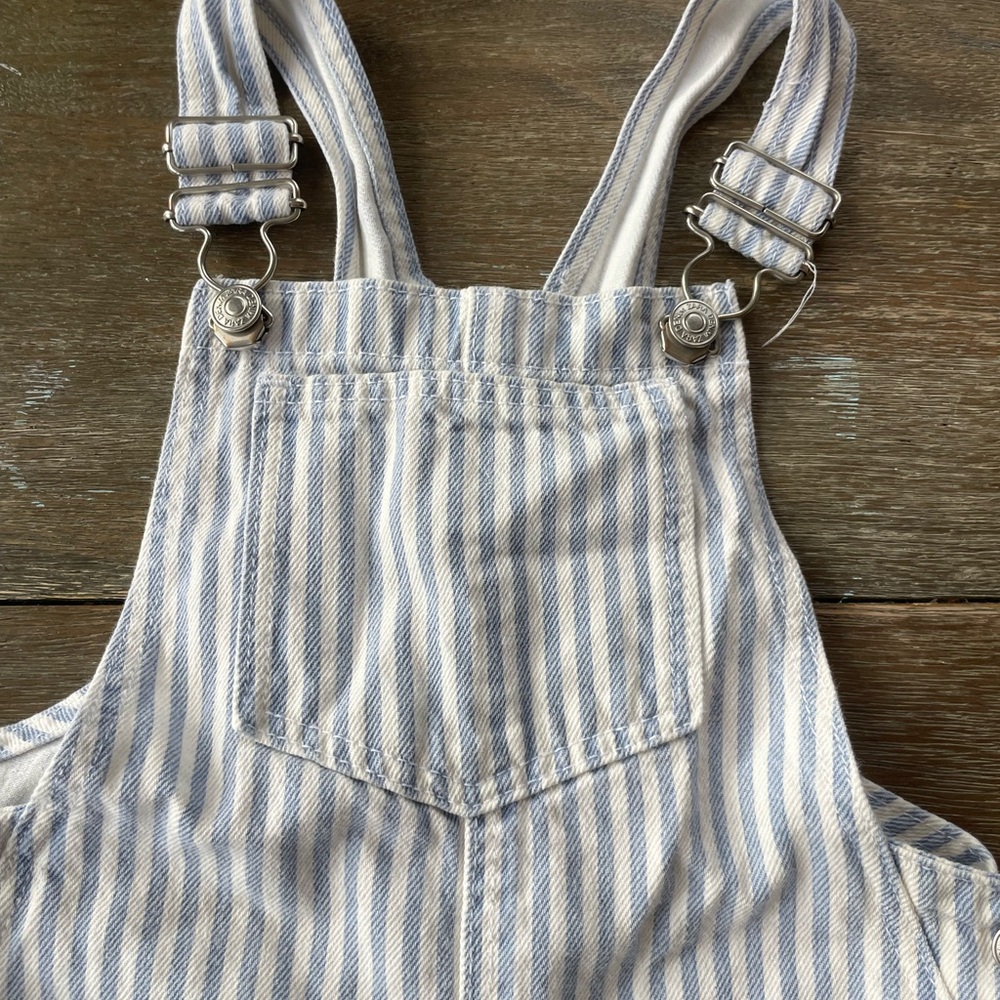 Zara Blue and White Striped Overalls